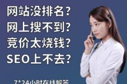 揭阳技术seo