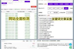 SEO工具写生
