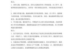 seo工作表现自评