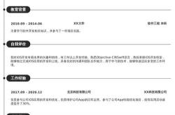 seo总监工作简历