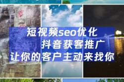 陕西抖音seo案例