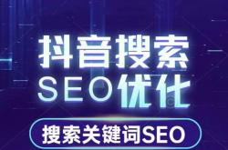 壤塘抖音搜索seo