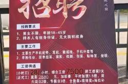 东莞seo招聘
