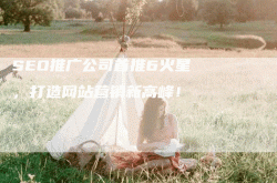 seo推广选择28火星软件
