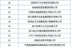 四川seo种类齐全