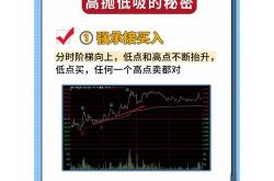 老卢seo初级教程