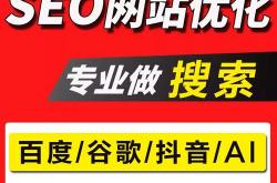推广优化seo网站排名