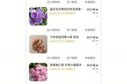 网站排名优化询宙r斯优惠