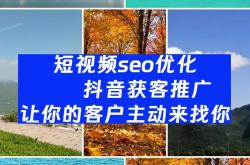 青岛seo优化作用