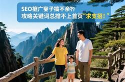 黄山seo优化团队