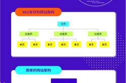 优化网站建设方案小学