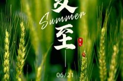夏至seo文案