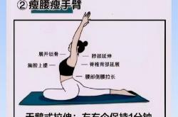 SEO基础瑜伽减肥