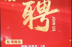 蚌埠网站优化企业招聘