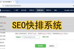 seo快排的服务优化