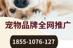 甘肃省营销网站优化