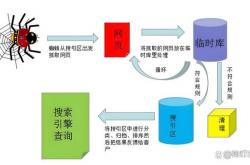 seo不文可以学不