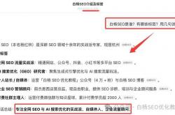 白杨SEO聊小程序