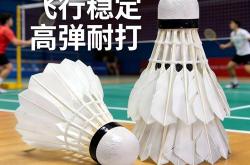 seo训练教程