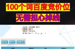 网站seo优化和竞价