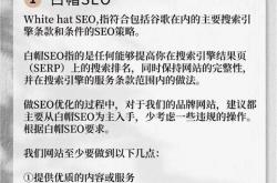 黑帽seo白帽seo收入