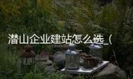 沈阳企业seo成功案例