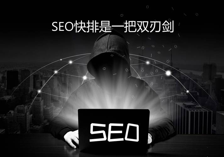 seo快排软件帖子