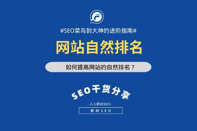青海seo排名价格多少