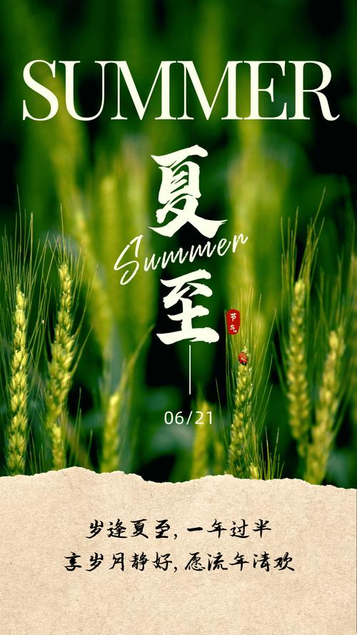 夏至seo文案