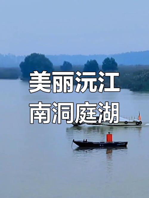 沅江seo