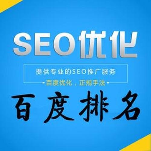 seo优化排名软件