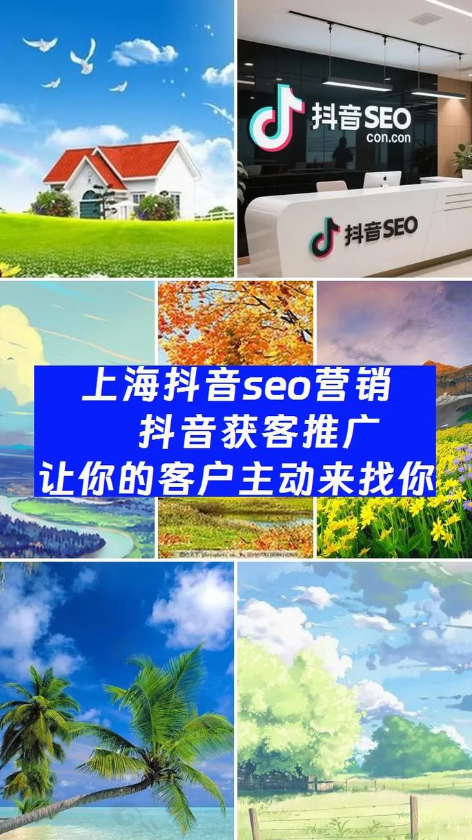 上海抖音seo渠道