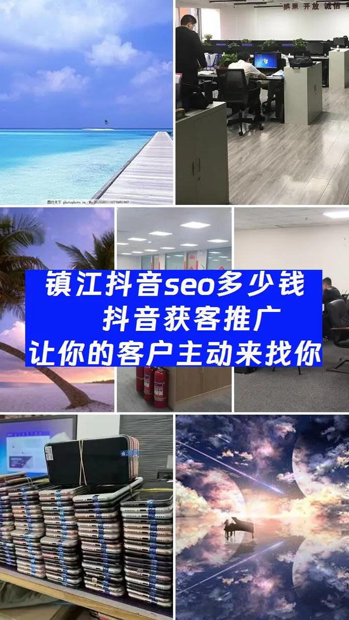 专业seo排名免费咨询