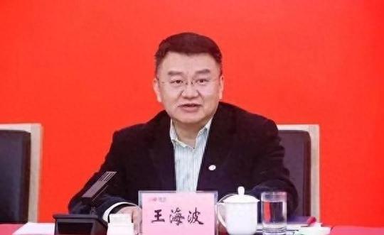 王海波seo