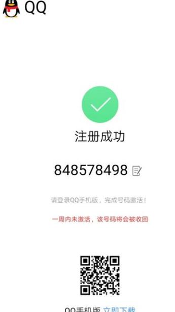 白山seo教程