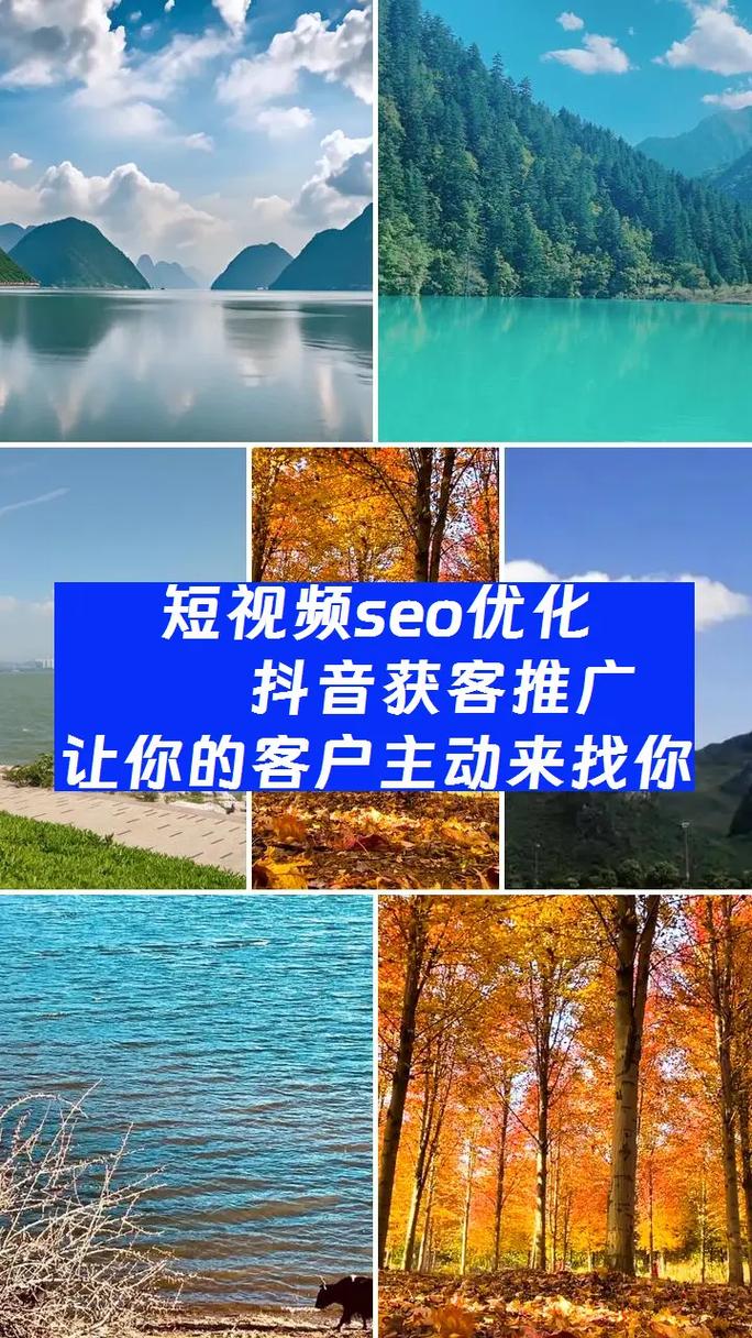 做seo优化