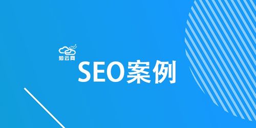 湖北seo入门排行榜
