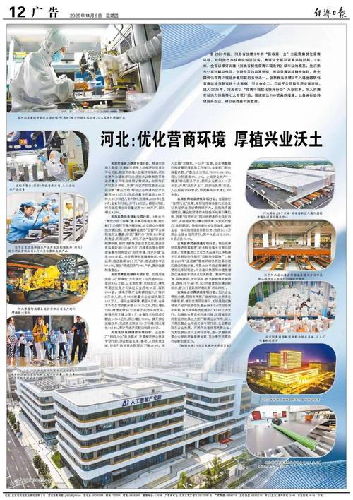 河北seo优化项目招商