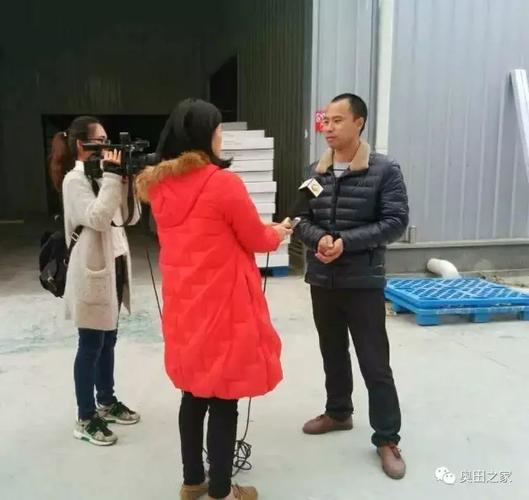 嵊州网站优化赚得到钱吗