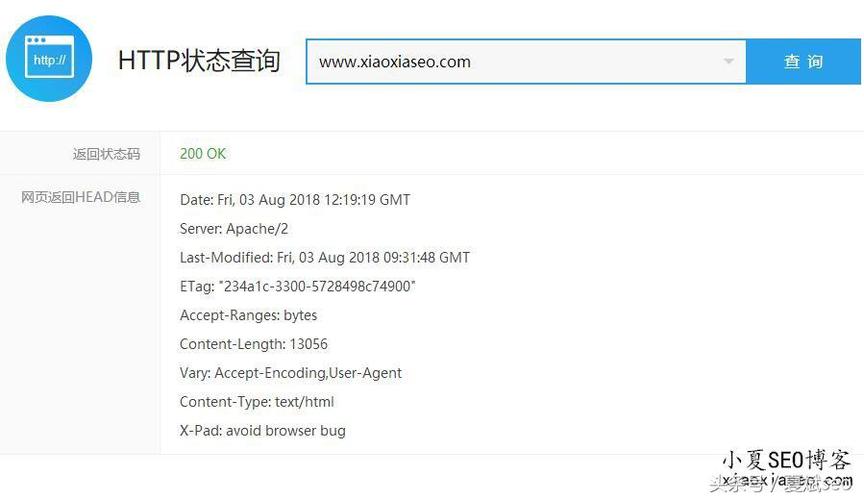 衢州seo软件免费咨询
