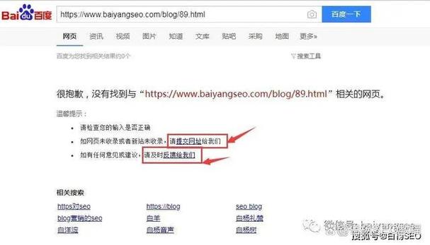 网站多快能收录seo