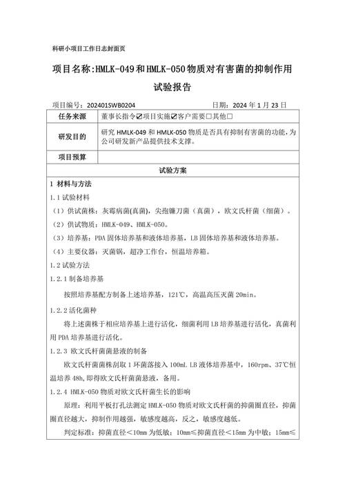 网站页面优化实验报告