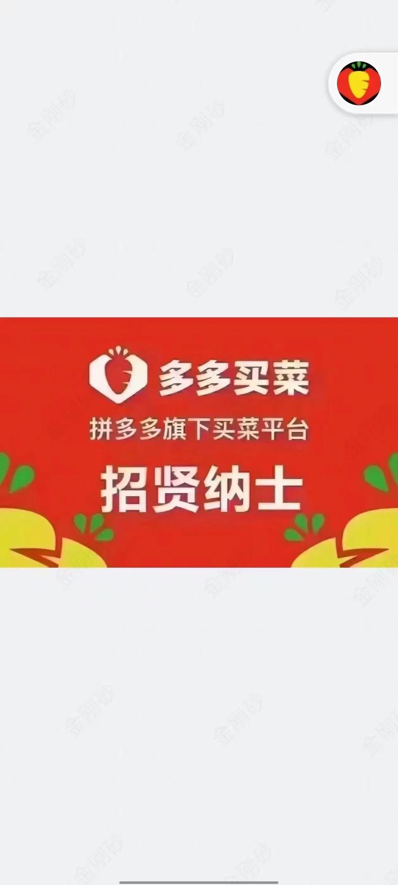 郸城网站优化招聘信息网