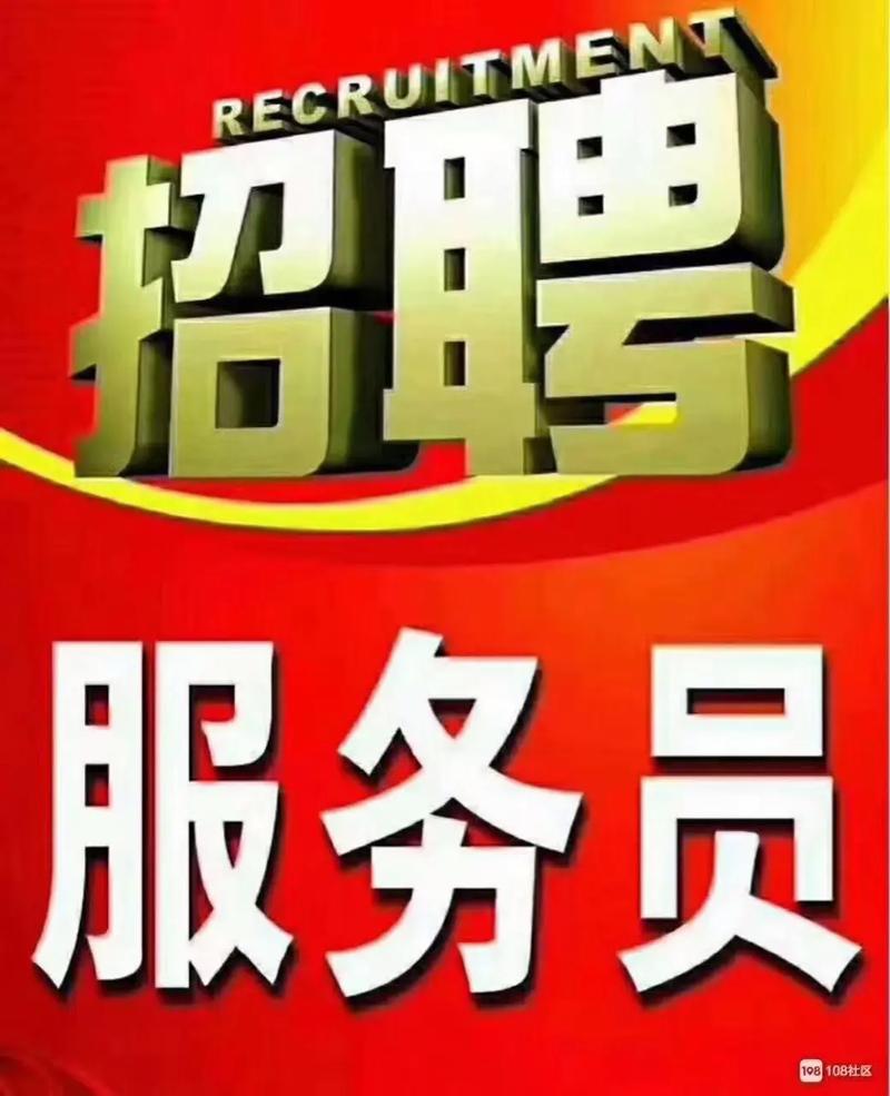 招聘seo专员招聘
