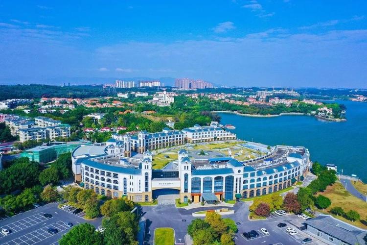 仙湖网站优化排名