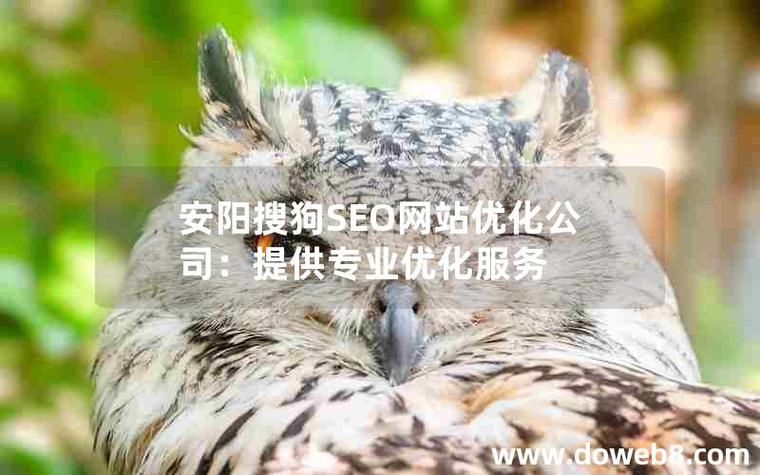 安阳专业网站优化外包