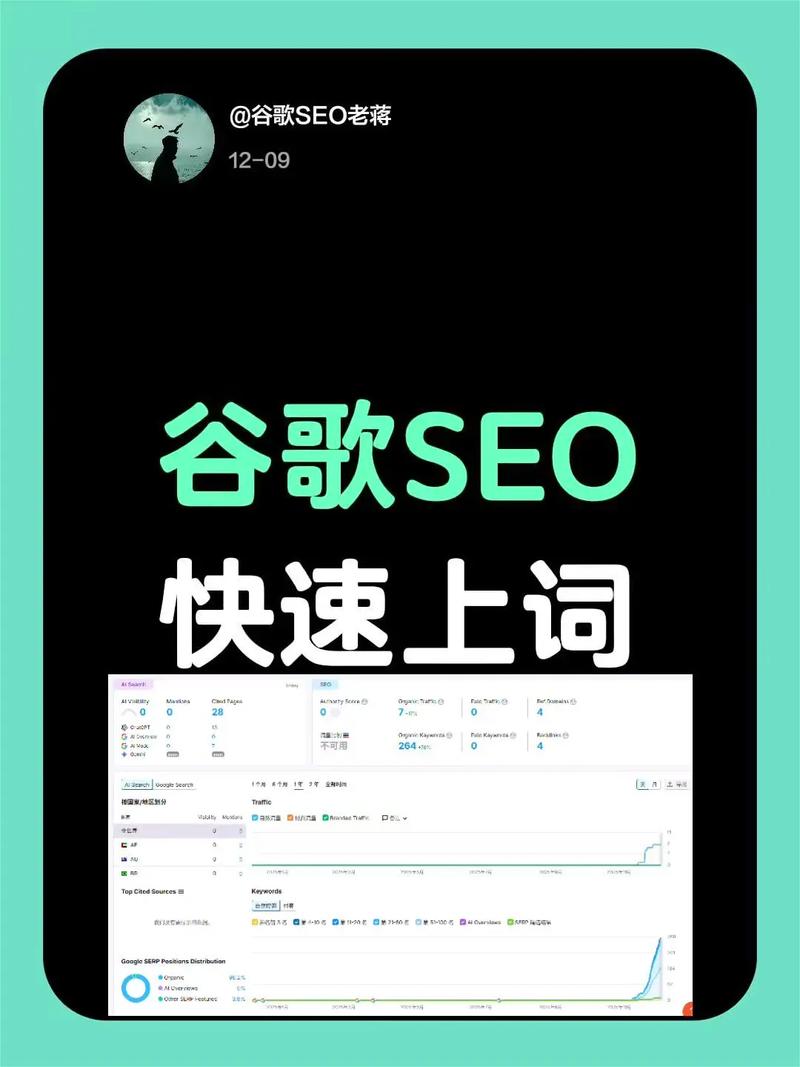 谷歌seo快速出词