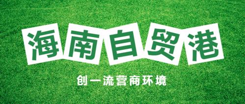 海南网站优化推广公司口碑好