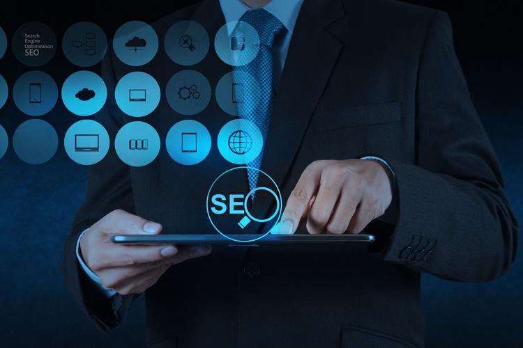 嵩县网站优化seo