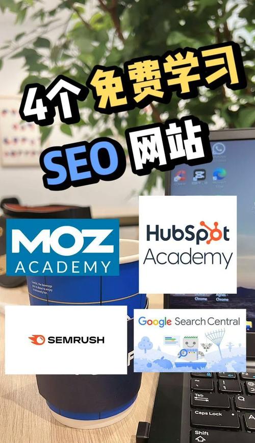 学习seo怎么样